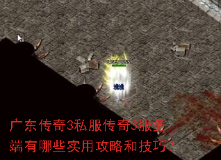 �㶫����3˽������3���������Щʵ�ù��Ժͼ��ɣ�