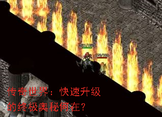 �������磺�����������ռ����غ��ڣ�