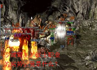 ɳ�ǰ�����սʿְҵ�����ƾ�����ʲô��