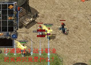 ɳ�ǰ�����սʿְҵ�����ƾ�����ʲô��