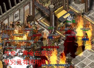 ���棺�ƽ�����Ϸ�﾿���к���;��