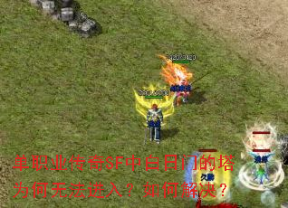��ְҵ����SF�а����ŵ���Ϊ���޷����룿��ν����