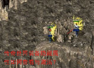 ��������װ������������β鿴�뼤�
