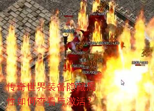 ��������װ������������β鿴�뼤�