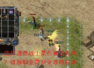 ��ʦ����սʿ�Ƿ�����޽⣿�ƽ�ְҵ����ȫ�����ڴ�