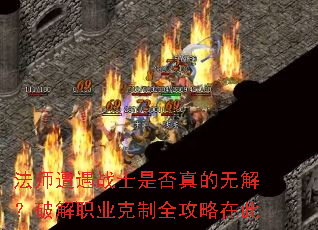 ��ʦ����սʿ�Ƿ�����޽⣿�ƽ�ְҵ����ȫ�����ڴ�