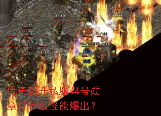 �����¿�˽��44��ѫ�´�ʲô���ܱ�����