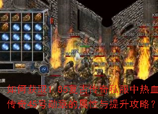 ��λ�ȡ1.85���Ŵ���˽������Ѫ����45��ѫ�µ��������������ԣ�