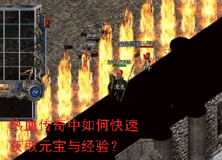 ��Ѫ��������ο��ٻ�ȡԪ���뾭�飿