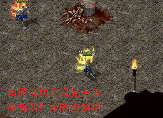 ��γɹ��������Ŵ�������������ȫ����