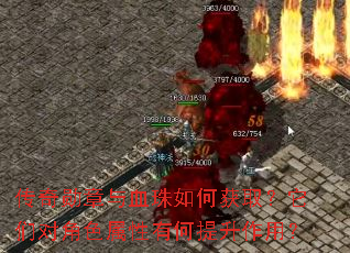 ����ѫ����Ѫ����λ�ȡ�����ǶԽ�ɫ�����к��������ã�