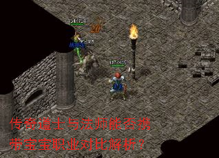 �����ʿ�뷨ʦ�ܷ�Я������ְҵ�ԱȽ�����
