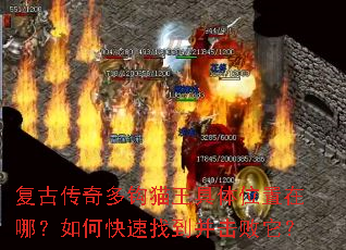 ���Ŵ���๳è������λ�����ģ���ο����ҵ�����������