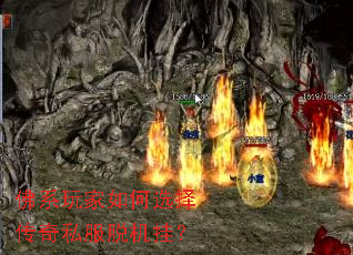 ��ϵ������ѡ����˽���ѻ��ң�