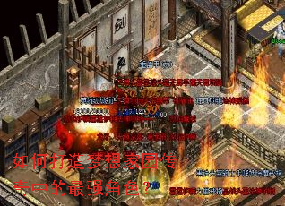 ��δ��������԰�����е���ǿ��ɫ��