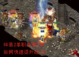 ��Ĺ2��ְҵ��2����ο�������ս����