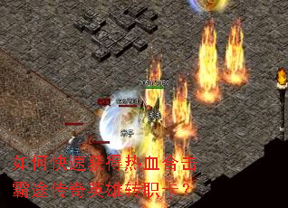 ��ο��ٻ����Ѫ�ϻ���;����Ӣ��תְ����