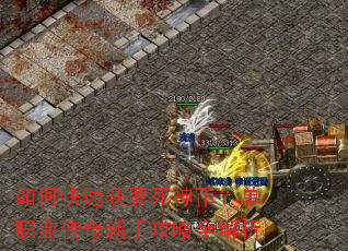 ��ο��ٻ�ȡ����ң���ְҵ�������ֹ���ȫ����