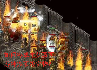 �����ɱ���ȡ������趥�����