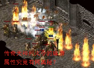 ���������̻����������Ծ����кΰ��أ�