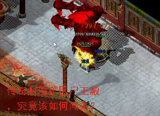 �����ħ����ʬ�����������δ��أ�