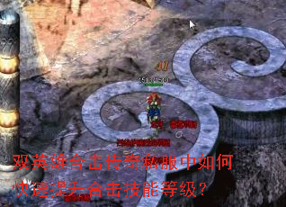 双英雄合击传奇私服中如何快速提升合击技能等级? 双英雄合击传奇私服中如何快速提升合击技能等级?