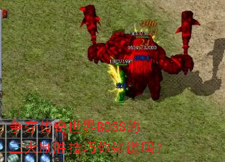 ���ᴫ������BOSS��������ʤ������֪����
