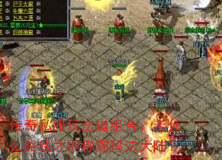 传奇私服玩法道组合,走什么路线才能称霸玛法大陆? 传奇私服玩法道组合,走什么路线才能称霸玛法大陆?