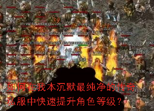 如何在我本沉默最纯净的传奇私服中快速提升角色等级? 如何在我本沉默最纯净的传奇私服中快速提升角色等级?