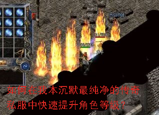 如何在我本沉默最纯净的传奇私服中快速提升角色等级? 如何在我本沉默最纯净的传奇私服中快速提升角色等级?