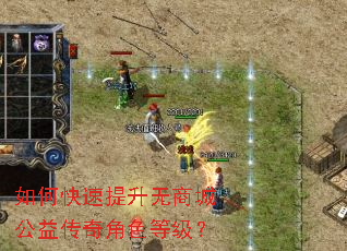 如何快速提升无商城公益传奇角色等级? 如何快速提升无商城公益传奇角色等级?