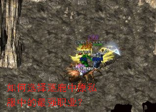 如何选择逐鹿中原私服中的最强职业? 如何选择逐鹿中原私服中的最强职业?