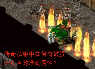 传奇私服中如何有效提升角色的准确属性? 传奇私服中如何有效提升角色的准确属性?