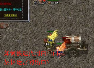 如何快速找到白日门丛林迷宫的出口? 如何快速找到白日门丛林迷宫的出口?
