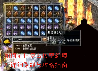 ���ǰ�����Ŵ���þ�����ϸ·���빥��ָ��