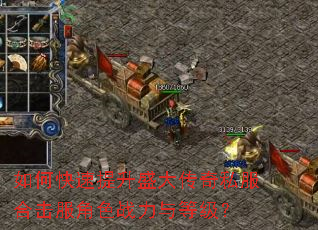 如何快速提升盛大传奇私服合击服角色战力与等级? 如何快速提升盛大传奇私服合击服角色战力与等级?