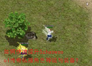 如何快速提升5zhaowoool传奇私服角色等级与装备? 如何快速提升5zhaowoool传奇私服角色等级与装备?