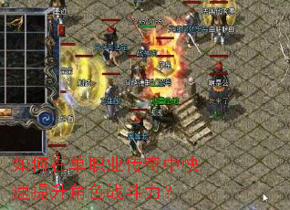 ����ڵ�ְҵ�����п���������ɫս������