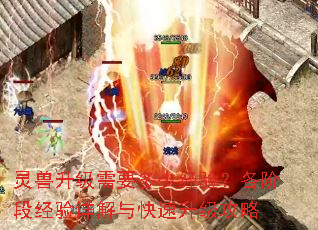 ����������Ҫ���پ��飿���׶ξ�������������������