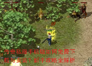 传奇私服手机版如何免费下载与安装?新手攻略全解析 传奇私服手机版如何免费下载与安装?新手攻略全解析