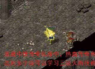 逐鹿中原传奇私服中,热血传奇角色达到多少级可以学习三级火雨技能? 逐鹿中原传奇私服中,热血传奇角色达到多少级可以学习三级火雨技能?