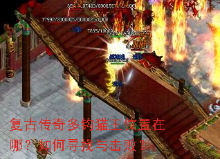 ���Ŵ���๳è��λ�����ģ����Ѱ������ܣ�