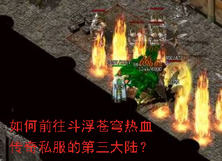 ���ǰ�����������Ѫ����˽���ĵ�����½��