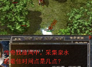 传奇找服网中,采集泉水的最佳时间点是几点? 传奇找服网中,采集泉水的最佳时间点是几点?