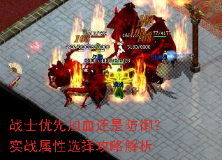 战士优先加血还是防御?实战属性选择攻略解析 战士优先加血还是防御?实战属性选择攻略解析