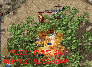 ������Ϸ�����ѳ��棿���ֿ�����������ȫ����