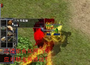 ��������������Ӧ�Դ�������ս��