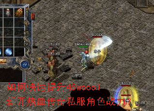 ��ο�������45woool�¿���Ѫ����˽����ɫս����