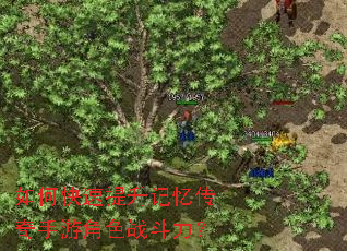 如何快速提升记忆传奇手游角色战斗力? 如何快速提升记忆传奇手游角色战斗力?