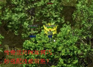 ���淨ʦPK���������似����ʤ��